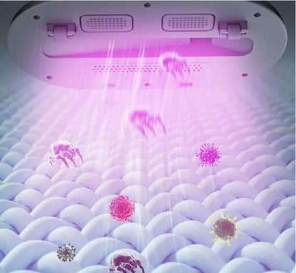 Electric UV Mite Remover